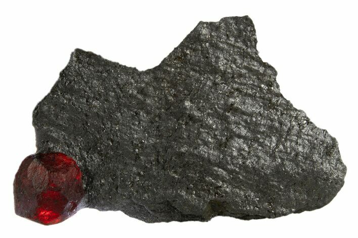 Red Embers Garnet in Graphite - Massachusetts #313444